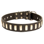 The Best Dog Collar with Brass Plates for Bullmastiff Smart Look