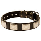 Vintage Dog Collar with Stylish Old Metal Plates for Dogue De Bordeaux