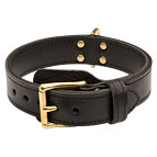 New-leather-training-dog-collar