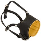 Padded Dog Muzzle for Mastiff with Soft Nappa Lining