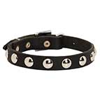 Strong Stuff Dog Collars for Mastiff with Metal Rivets