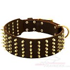 Spiked Dog Collar for Bullmastiff, Extra Wide