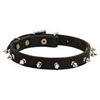 Cane Corso Spiked Collar 3/4 Inch Wide