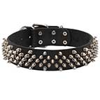 Wide Dog Collar with Spikes for Mastiff