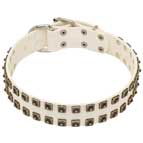 White Studded Dog Collar for Bullmastiff for Sale