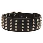 Studded Dog Collars 2 Inch Wide for Dogue De Bordeaux