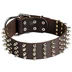 Wide Leather Dog Collars for Mastiff with Nickel Spikes, 2 in