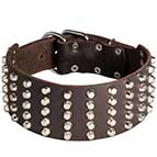 X Large Dog Collars: Extra Wide Dog Collars Studded with Pyramids