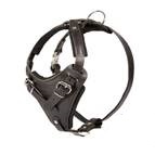 Mastiff Training Dog Harness, Soft Padded Leather Dog Harness
