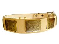 Handmade Dog Collar with Brass Plates UK Bestseller