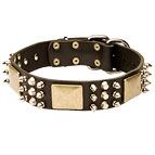Luxury Dog Collar with Plates, Spikes and Cones for Neapolitan Mastiff