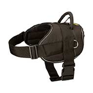 Night Walking Mastiff Harness with Reflective Stitching