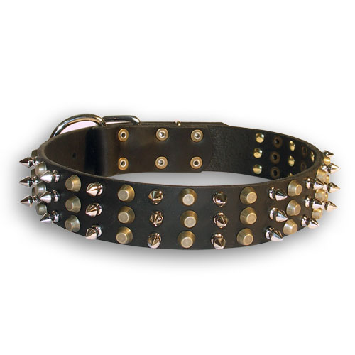 Gladiator Style Dog Collars for Neapolan Mastiff with Pyramids and Spikes