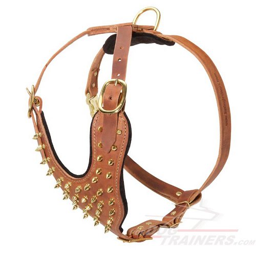 Dog Walking Harness with Golden Spikes for Mastiff Gorgeous Style