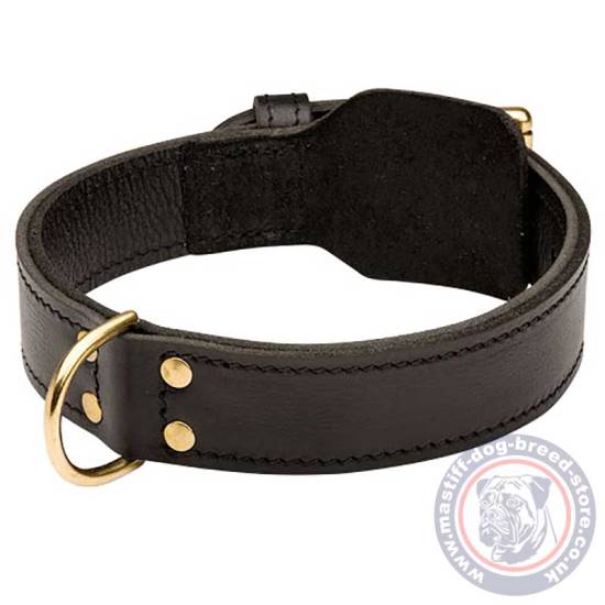 Extra Large Dog Collar Mastiff Size XXL Dog Collar