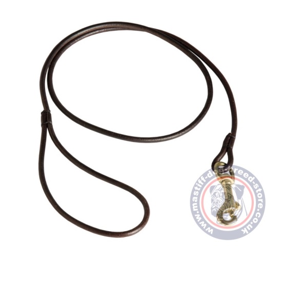 Dog Show Leash for Mastiff of Strong Round Leather