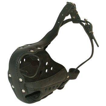 Best Leather Dog Muzzle for Great Dane K9 Training