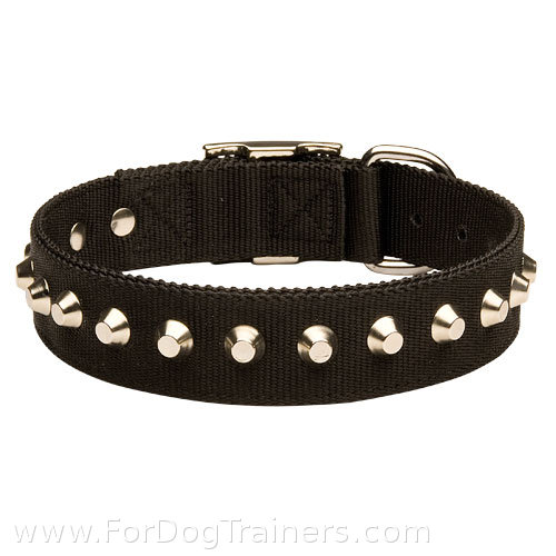 Best Walking Collar For Great Dane "Pyramids Of The Sun"