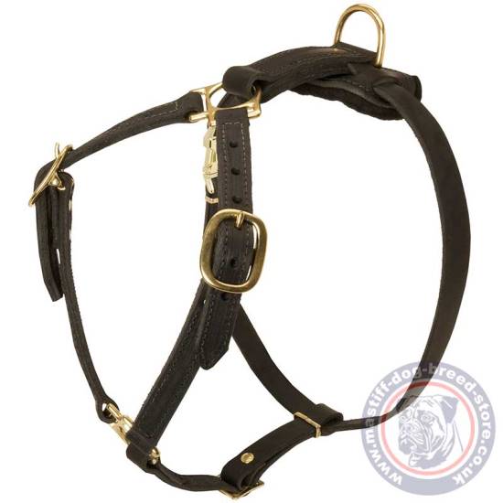 Luxury Dog Harness for Mastiff Breeds Walking
