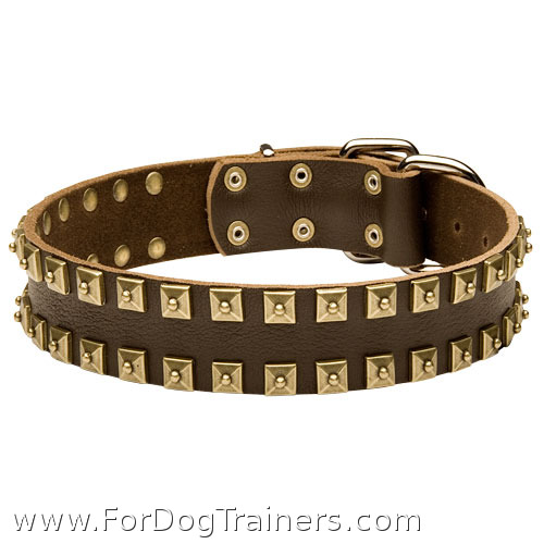 Brass studded deals dog collar