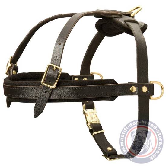 Mastiff Harness for Pulling, Tracking, Sport and Walking