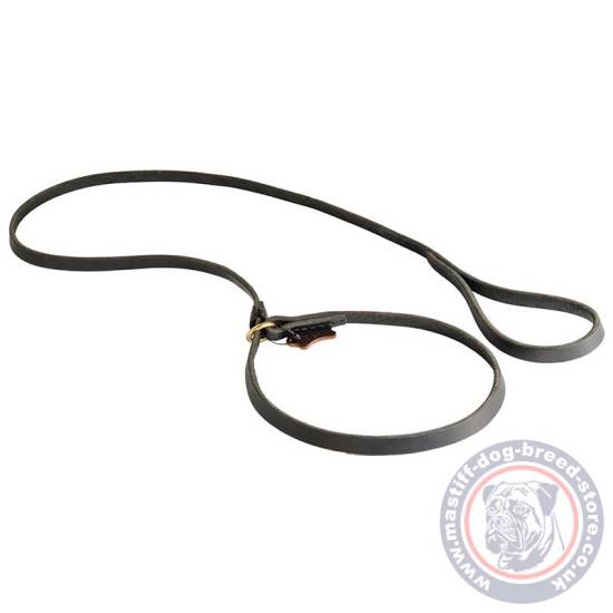 Dog Leash and Collar for Super Comfort in Mastiff Training and Walking!