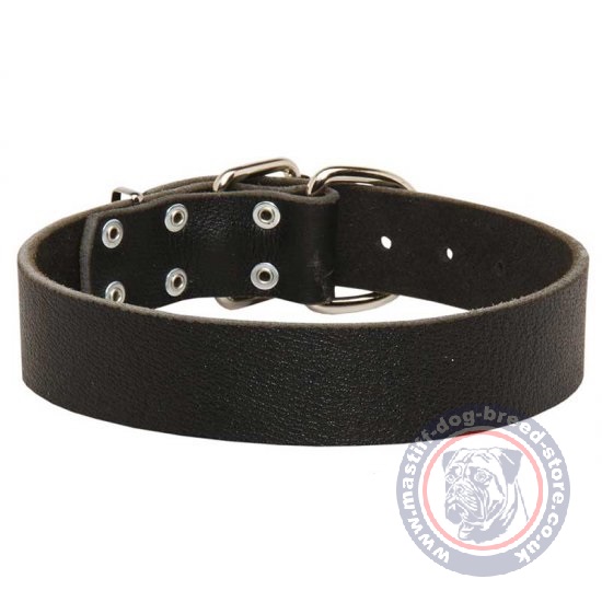 Mastiff Dogs Collars for Training and Walking 1.6 in Wide Leather
