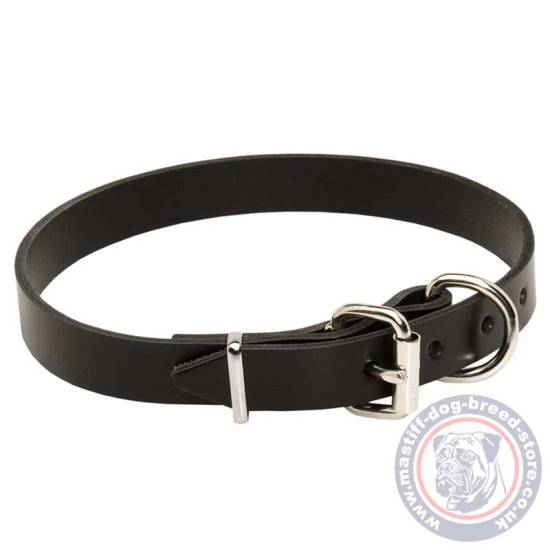 Leather Dog Collar 1 inch Wide | Classic Dog Collar with Buckle for Mastiff