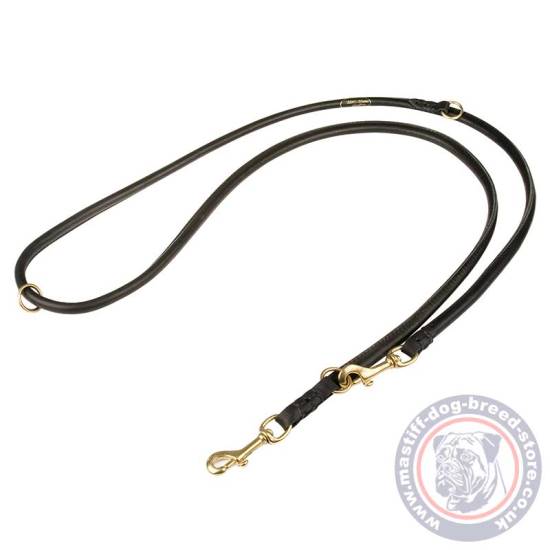 Hands Free Dog Leash with Multiple Functions, Super Strong