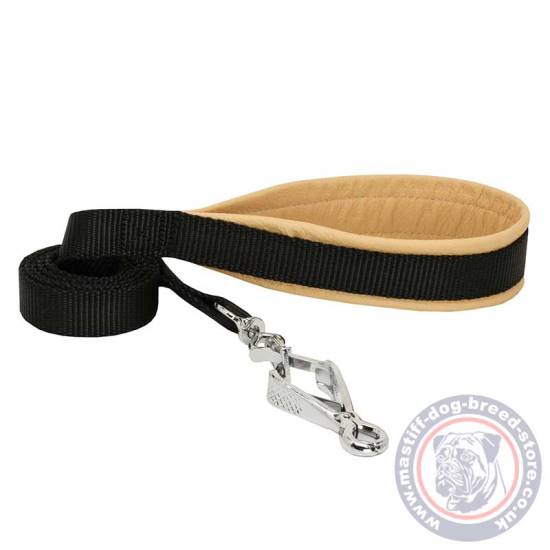 Nylon Dog Leash with Padded Handle for the Best Control and Comfort