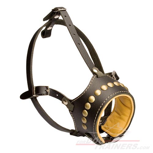Soft Muzzle for Mastiff Breed with Soft Nappa Lining and Brass Studs