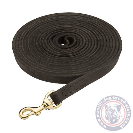 Dog Leash for Mastiff Training & Tracking: Extra Strong and Long