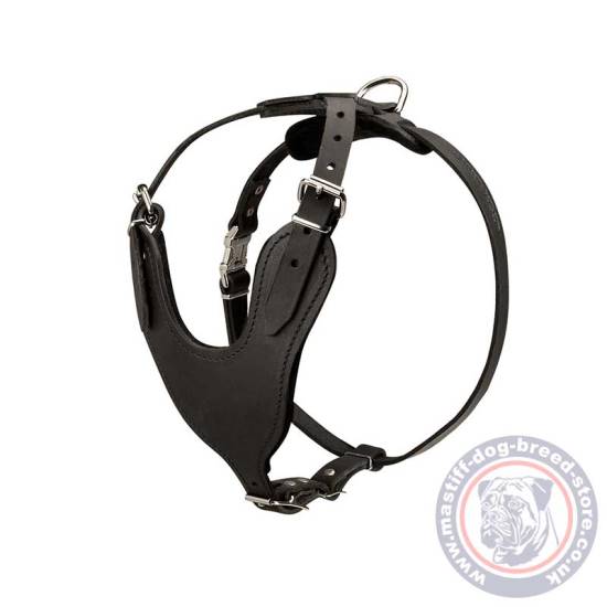 V-Neck Dog Harness for Mastiff Dogs, Padded Leather Harness