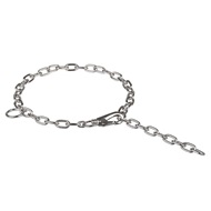Mastiff Chain Collar with Lock, Glossy Chrome-Plated Steel