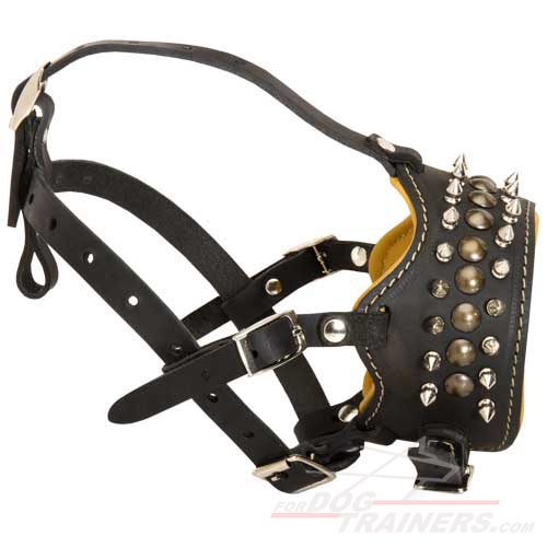 Designer Dog Muzzle for Big Mastiff Dog with Spikes and Studs